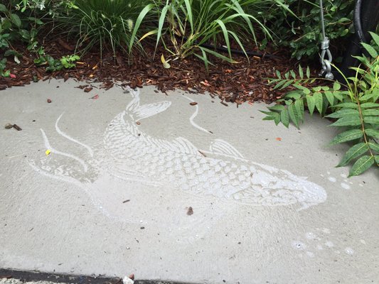 Hidden sidewalk creatures appear in the rain