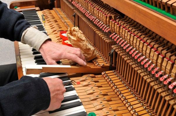 Allegro Piano Tuning & Repair