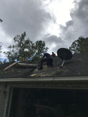 Removing Tree debris from storm damage to a roof.