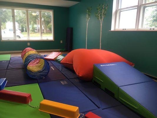 Our multisensory gym is fun for kids of all ages!