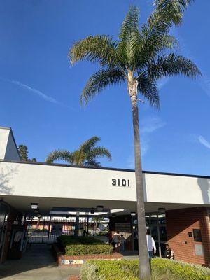 The front of the school on a clear and sunny day in March