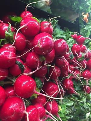 Fresh radish