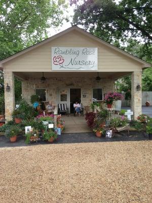 Rambling Rose Nursery