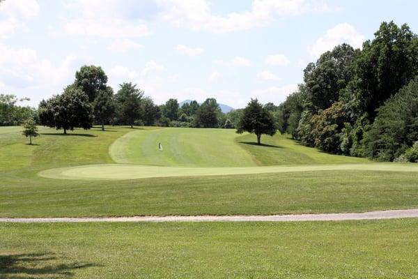 #12 green.  A challenging dog leg left par 4 for the guys.  Par 5 for the ladies!!