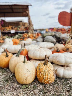 Pumpkins