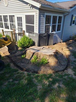 Gram Stump Grinding