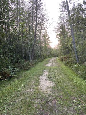 The lovely path to the lake.