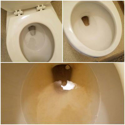 Tough Toilet Stains to Sparkling White