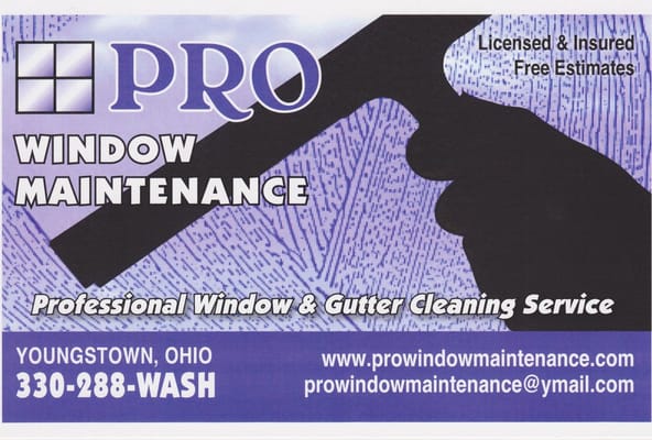 Pro Window Maintenance