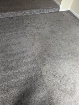 Clean vs Dirty carpet midcleaning