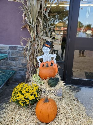 Fall display