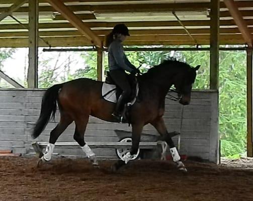 San Sebastian Equestrian Center