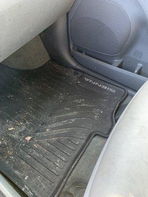 These are the floor mats after the car wash