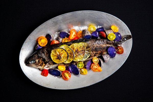 Smoked Trout surrounded by roasted purple potatoes, fresh heirloom tomatoes and seasoned perfectly to taste