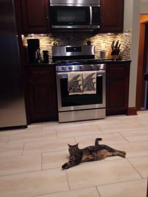 My new Tart tea towels look fabulous in my new kitchen (& my kitten thinks she looks fabulous too)!