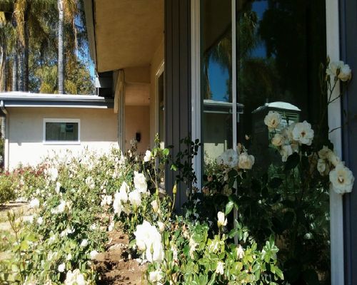 Star Home Windows & Doors Pacific Palisades