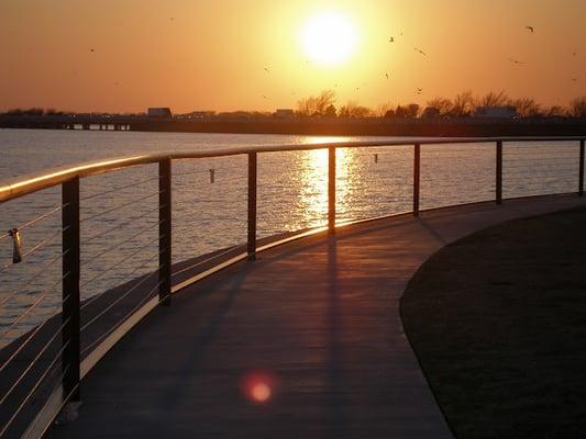 Custom Cable Fencing at Rockwall Harbor