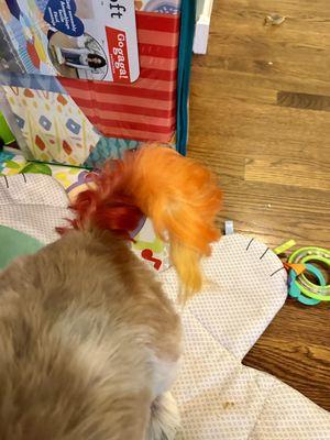 New fiery tail for summer fun!