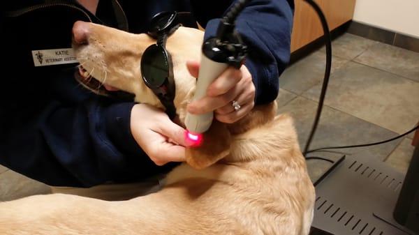 Daphne getting her ears "done" .  Dahlink,  I make these glasses look good!