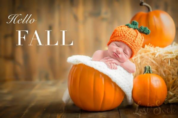 Newborn Fall Session at the Libertyville studio.