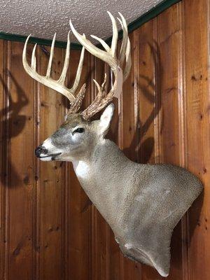 Wall pedestal with a set of reproduction antlers