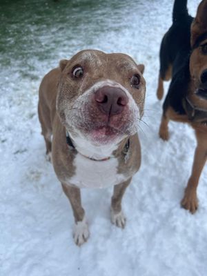 Apollo fun day in the snow