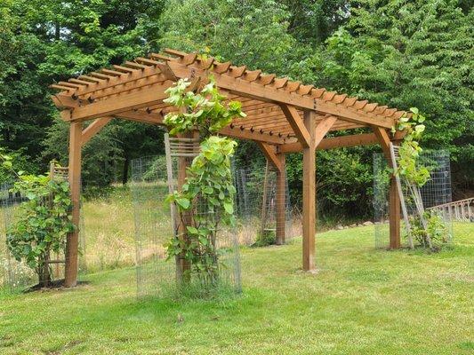 Pergola