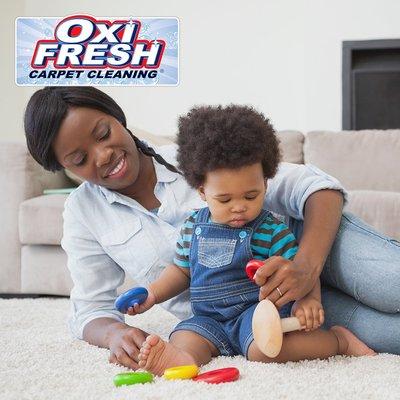 Oxi Fresh Carpet Cleaning