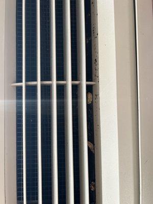 Mold in the air conditioner