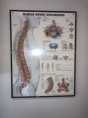 A poster of human spine disorders  In the pain clinic at MGH Boston