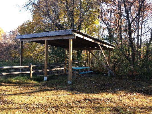 Covered picnic table on both small and large dog side.