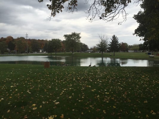 Small pond with ducks and benches.