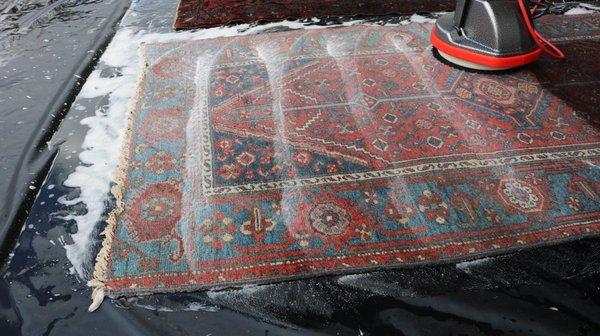 Oriental Carpet Care