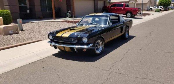 1966 Shelby GT350H Tribute