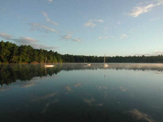 Curlew Pond at dawn