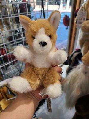 Mini corgi plushie - 7/2023