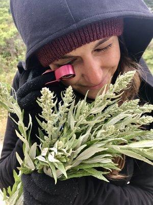 Dr. Elena's love for plants and knowledge of herbal medicine is one of her greatest gifts she brings to the clinic.