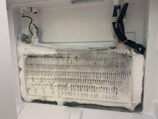 Freezer Repair