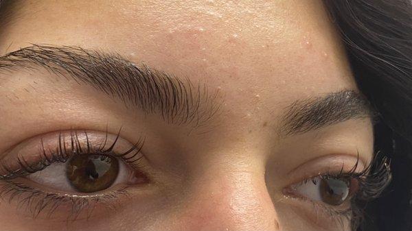 All your natural lashes will cure up for 6 weeks