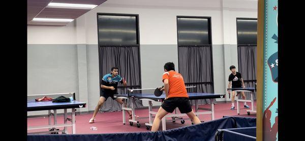 Spartans Table Tennis Club