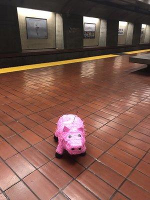 Pig on BART