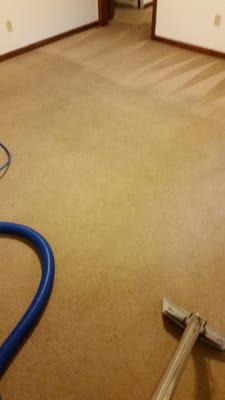 A yearly professional carpet cleaning is recommended by most manufacturers warranties. Even with no stains visible, it's good...