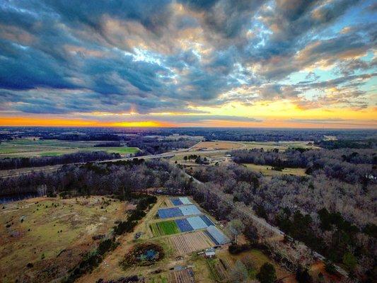 A view of the farm from above, Downtown Starkville is just left of center near the horizon.