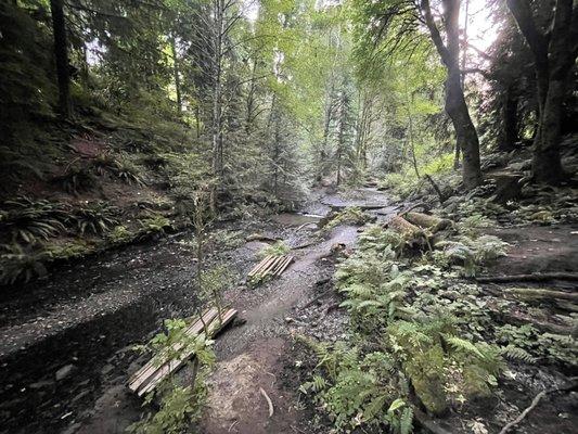 Boeing Creek Park