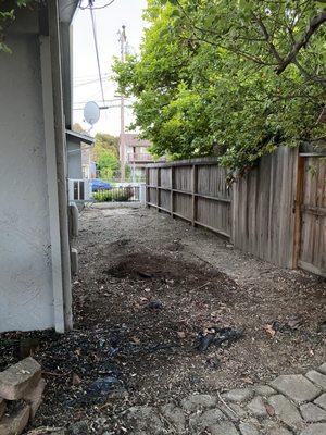 Side yard (after)