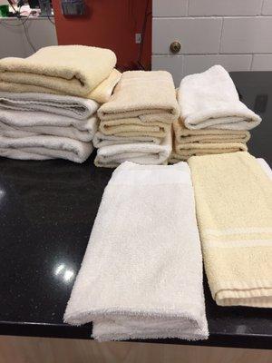 Towels for everyone