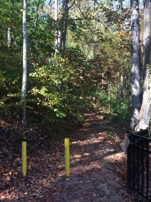 Collier Cove Nature Preserve