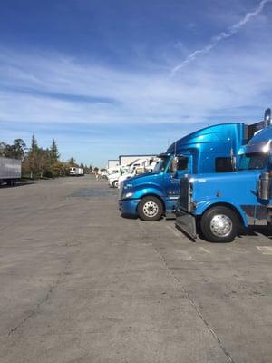 Trucks waiting for hours to be loaded and unloaded.