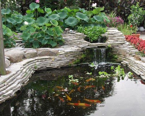 Koi Display Pond