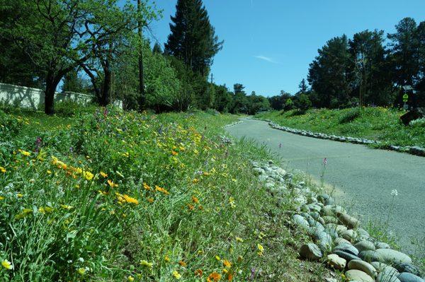 Superior Hydroseeding